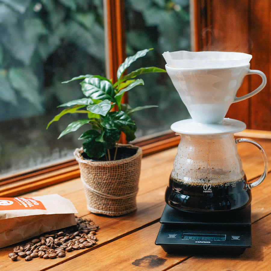 Hario V 60 Porzellanfilter - 02